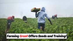 R2500 Youth Farming Grant Now Open for August – Government Offers Tools, Seeds, and Training to First-Time Applicants