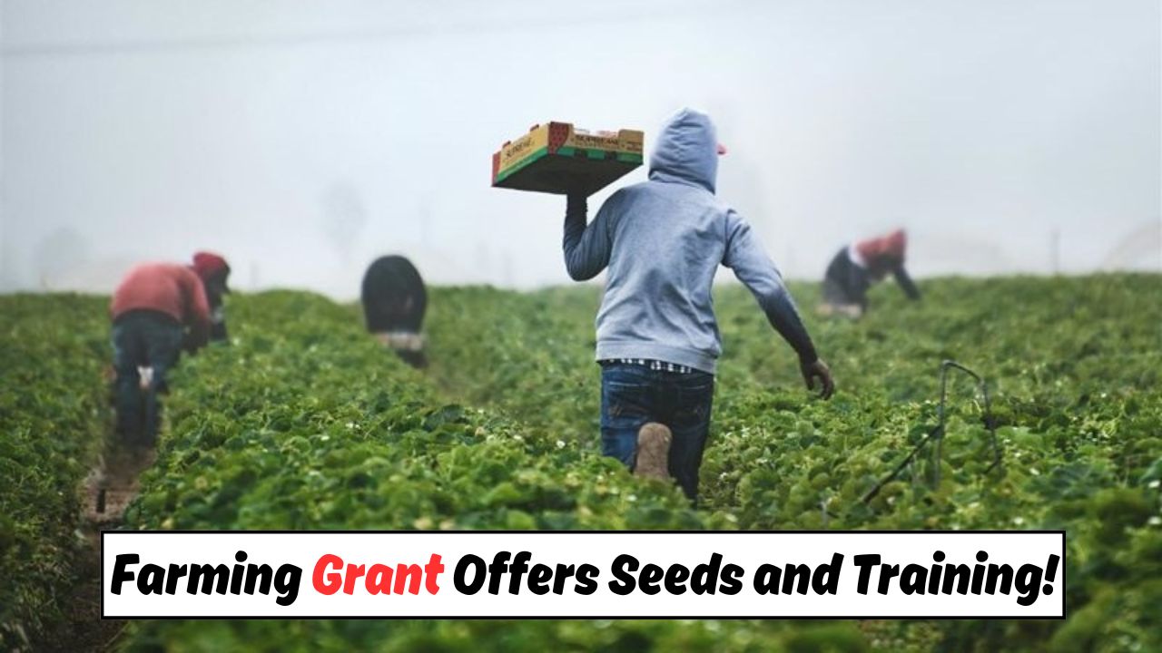 R2500 Youth Farming Grant