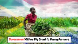 Government Launches R50 Million Agri-Youth Grant Scheme – Apply Before 15 August!